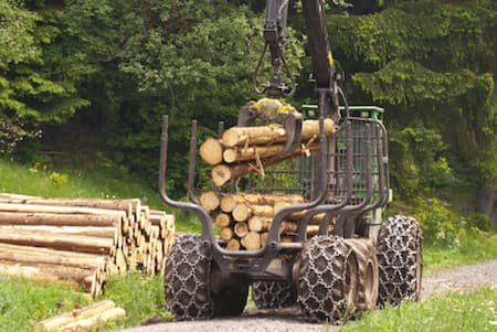 Forestry mulching