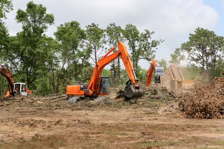 Land clearing Greeleyville SC